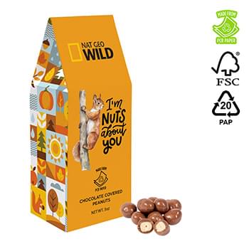 Eco Gable Box- Chocolate Peanuts